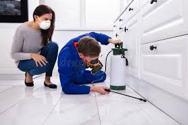 Best Real Estate Pest Inspections  in Medina, NY